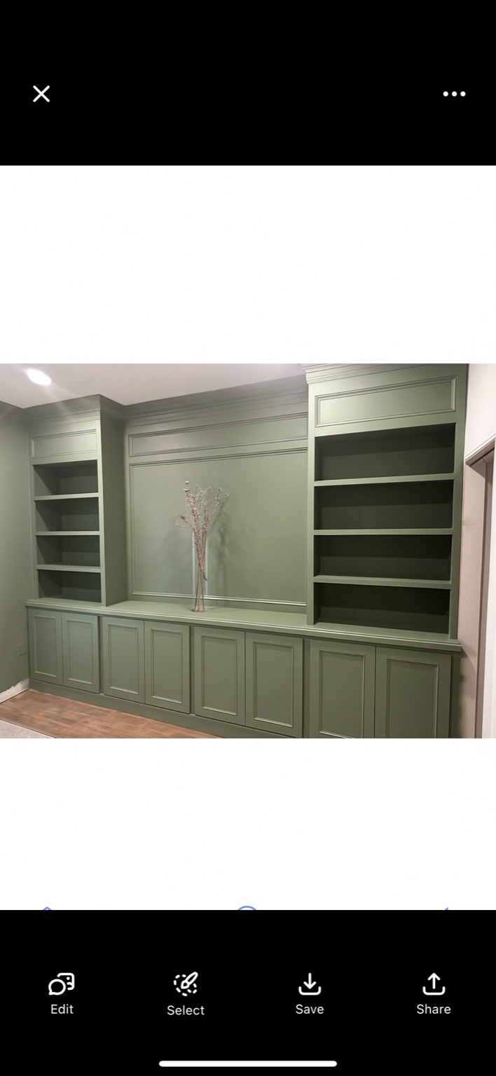 Green built-in wall unit with shelving and cabinets